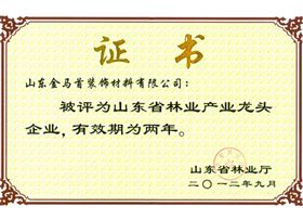 金马首-山东省龙头企业